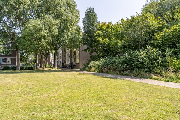 Medium property photo - Wilbertoord 253, 3079 JS Rotterdam